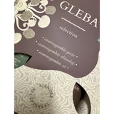 GLEBA Selection 2